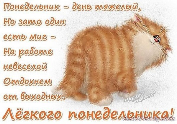 Стих про понедельник