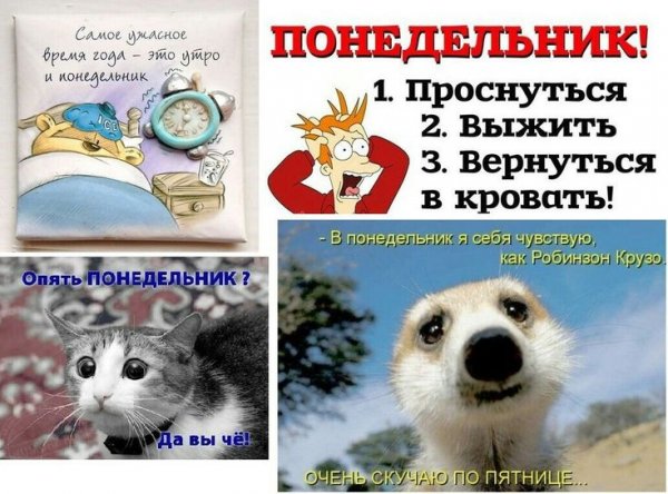 Шутки про понедельник