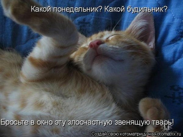 Понедельник неохота на работу