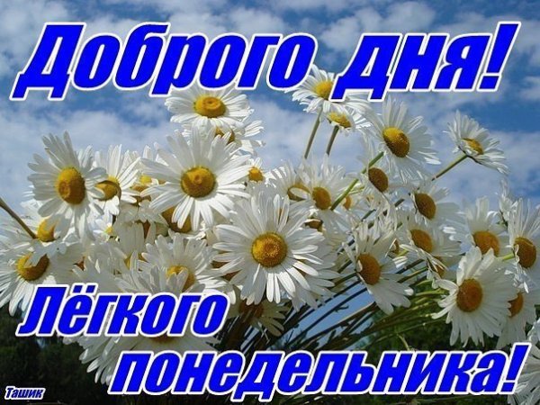 Добрый день понедельник