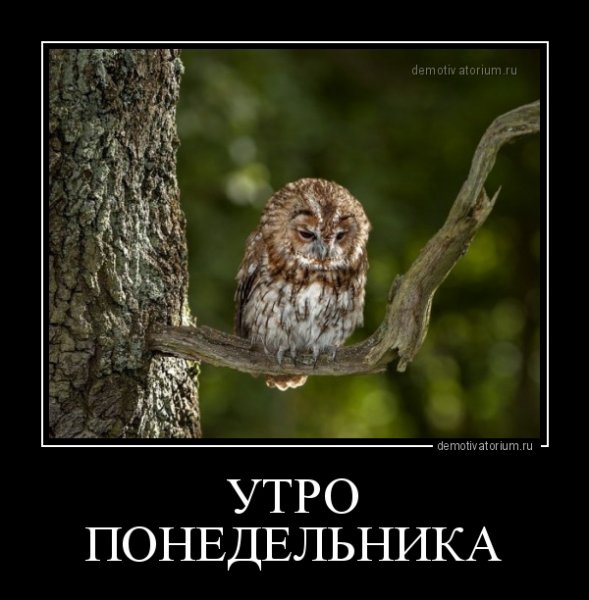 Демотиваторы утро понедельника