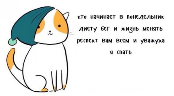 Новая жизнь с понедельника