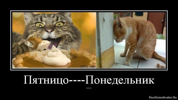 Понедельник демотиваторы смешные