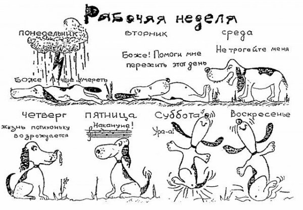 Рабочая неделя картинки приколы
