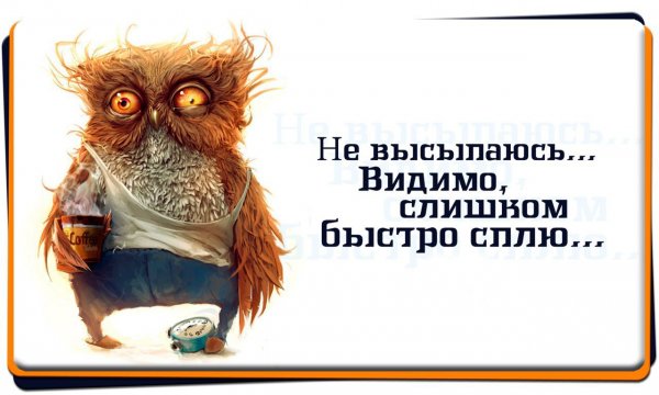 Куда высыпаюсь Сова