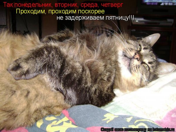 Понедельник скоро пятница