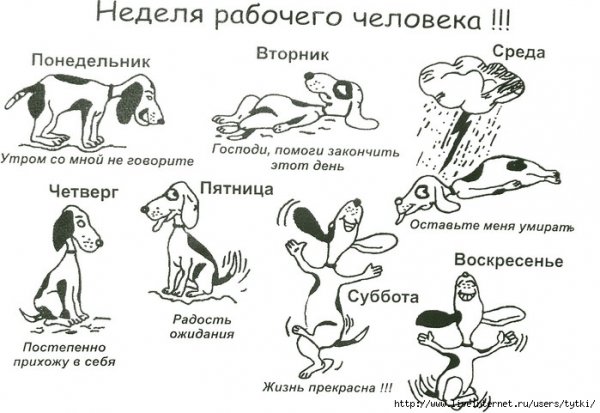С рабочей неделей картинки прикольные