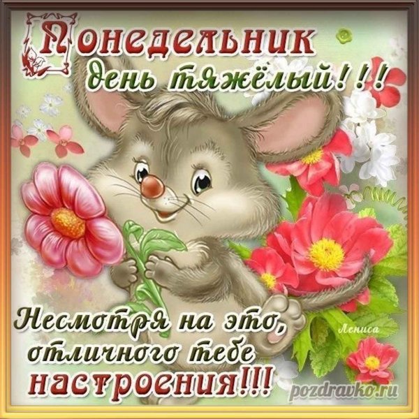 Поздравление с понедельником