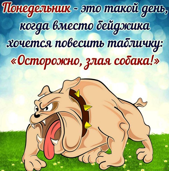 Анекдоты про понедельник в картинках