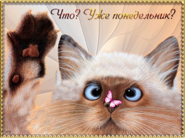 Красивые открытки с понедельником