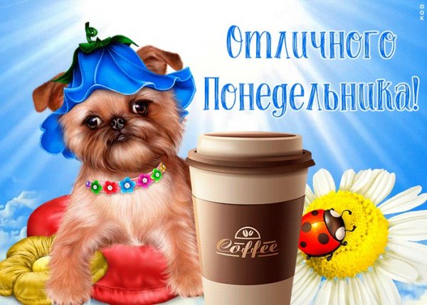 Хорошего понедельника прикольные