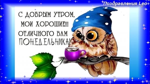 Пожелания с добрым утром понедельника прикольные