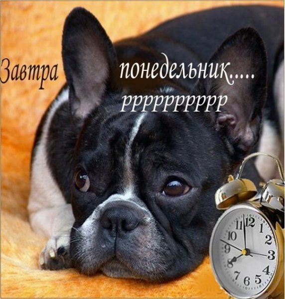 Завтра понедельник