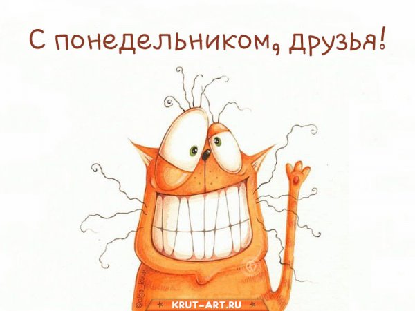 Открытки с понедельником прикольные