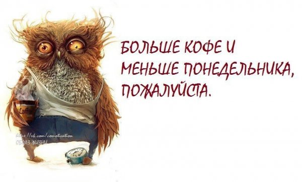 Афоризмы про вторник