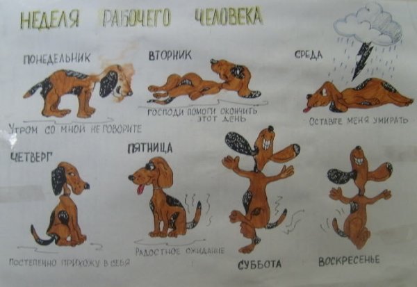 Шутки про рабочую неделю