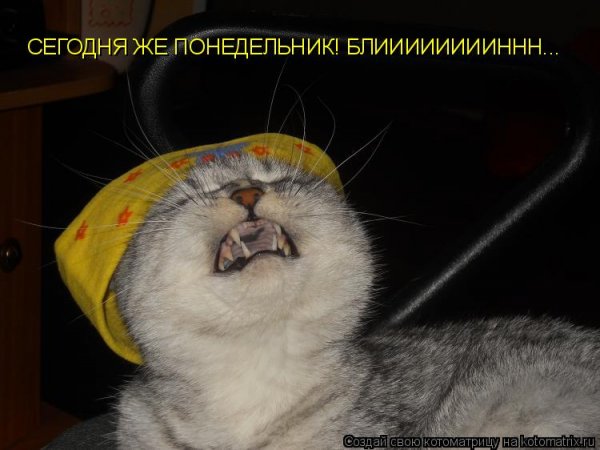 Сегодня опять понедельник