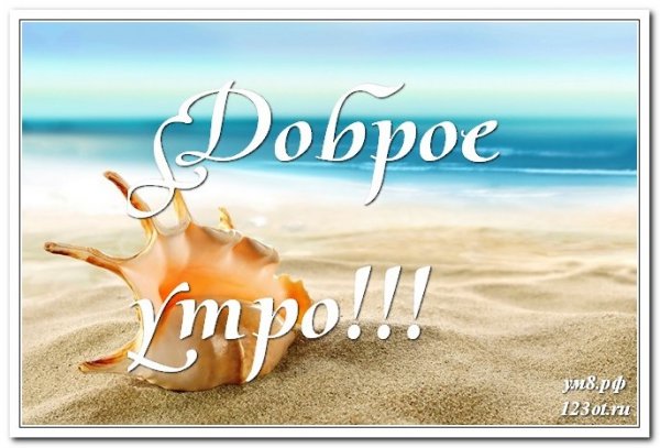 Удачного дня море