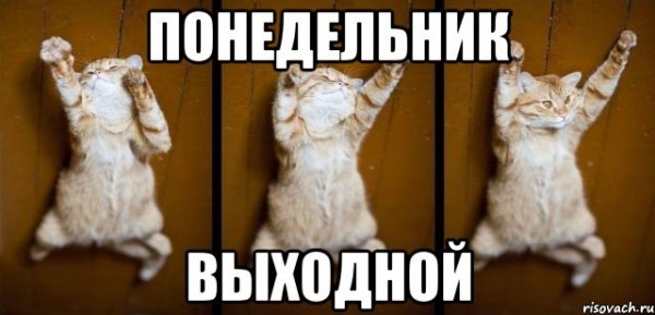 Понедельник выходной