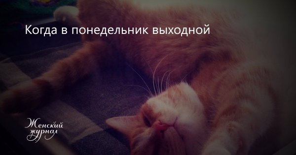 Понедельник выходной