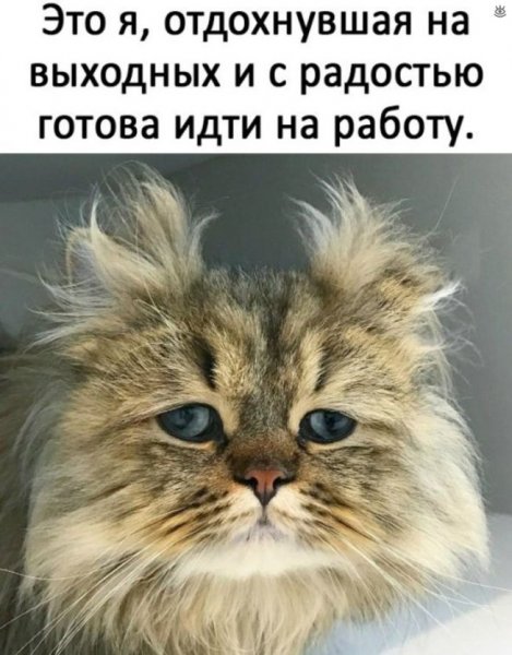 Завтра на работу прикольные