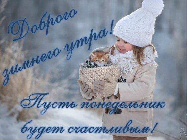 Ежик в понедельник