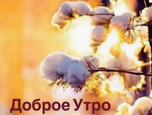 Доброе утро зима
