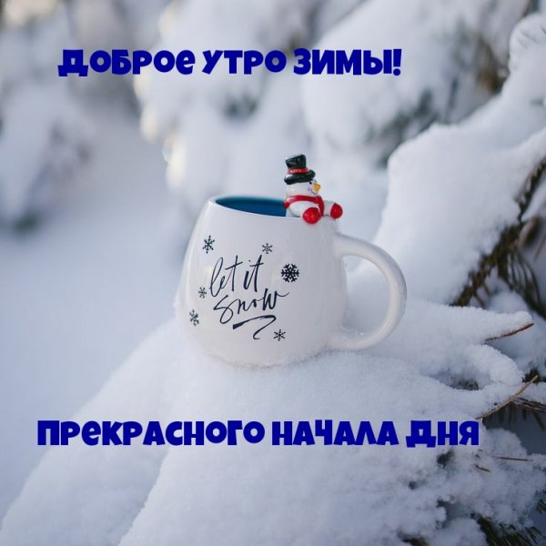 Утро зима животные
