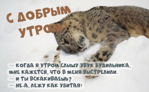 Зимнего настроения и удачной недели