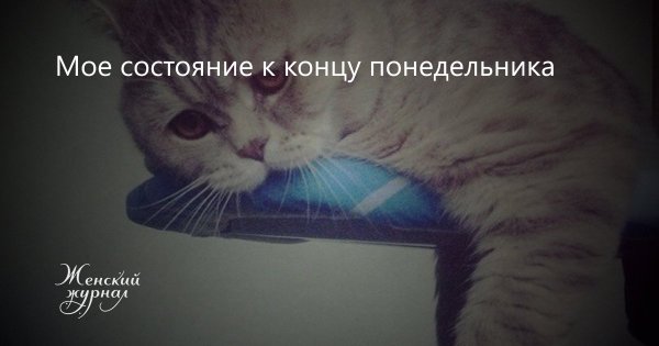 Конец понедельника смешные