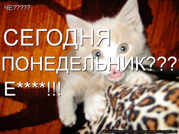 Понедельник 13