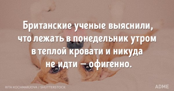 Говорят Весна не настоящая