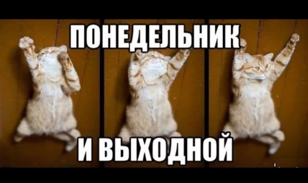 Царь ненастоящий Иван Васильевич