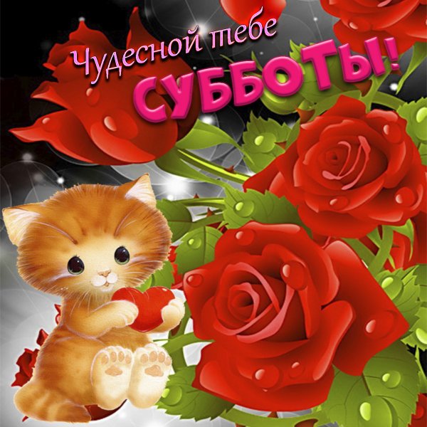 Открытки хорошего субботнего дня