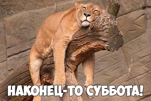 Высказывания про субботу