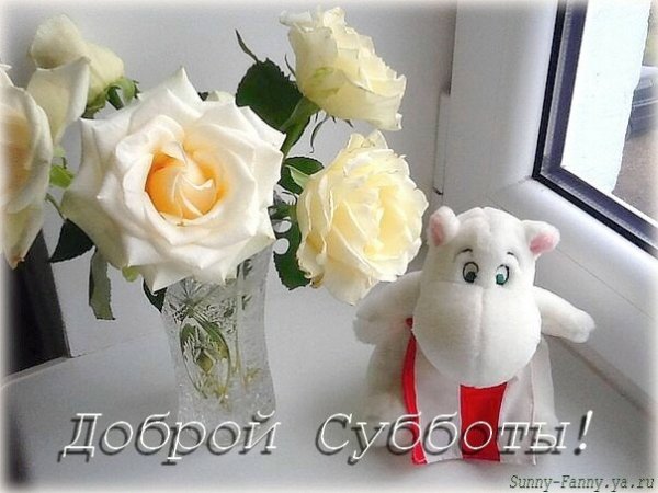 Добрый день суббота