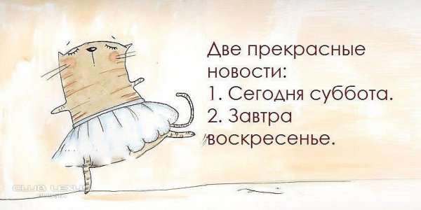 Цитаты про выходные