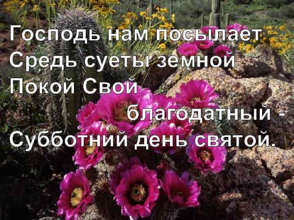 Христианские пожелания с субботой