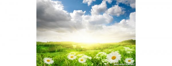 Благословенная суббота