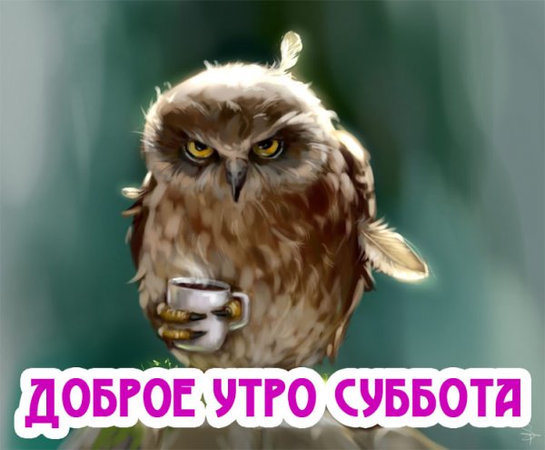 Доброе утро субботы