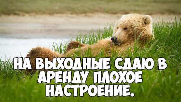 Суббота приколы