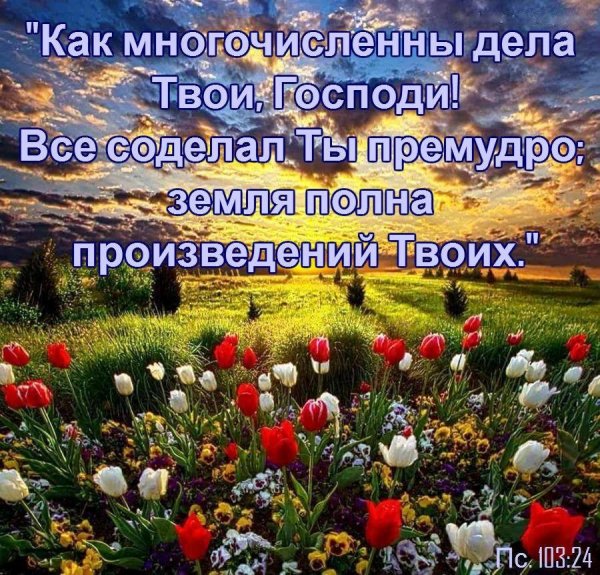 Земля полна твоих произведений