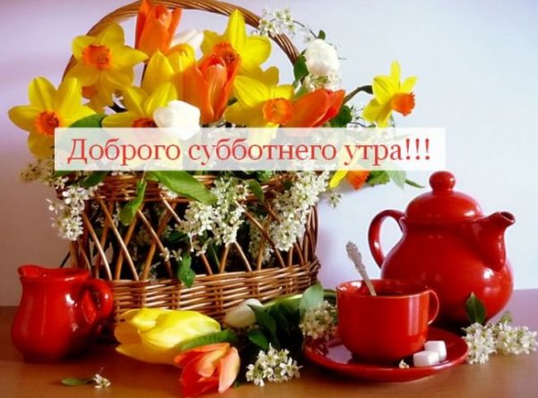 Поздравления с добрым утром субботы