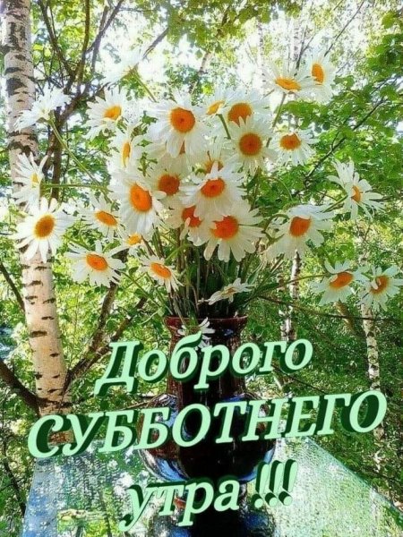 Открытки с добрым утром субботы