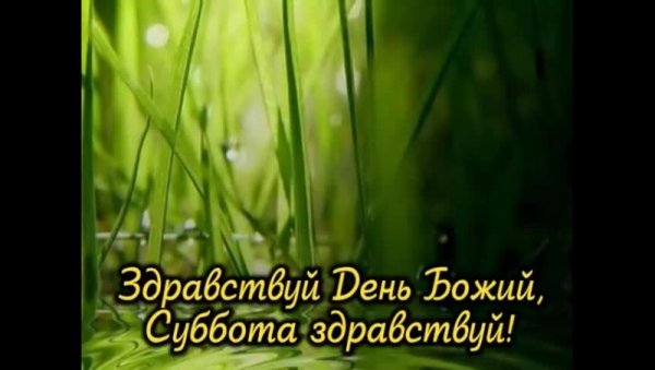 Здравствуй Субботний день