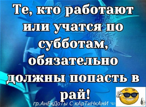 Шутки про работу в субботу