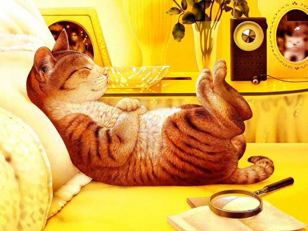 Позитивные коты