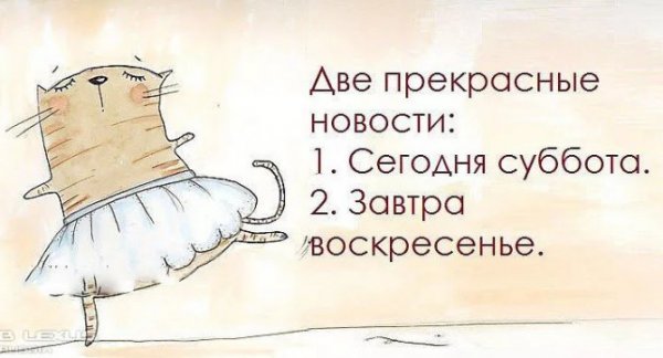 Афоризмы про субботу