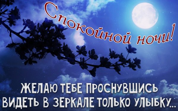 Весенние пожелания спокойной ночи
