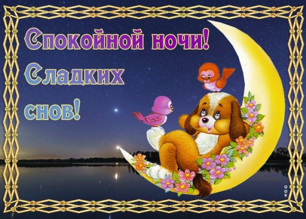 Сладких снов до завтра